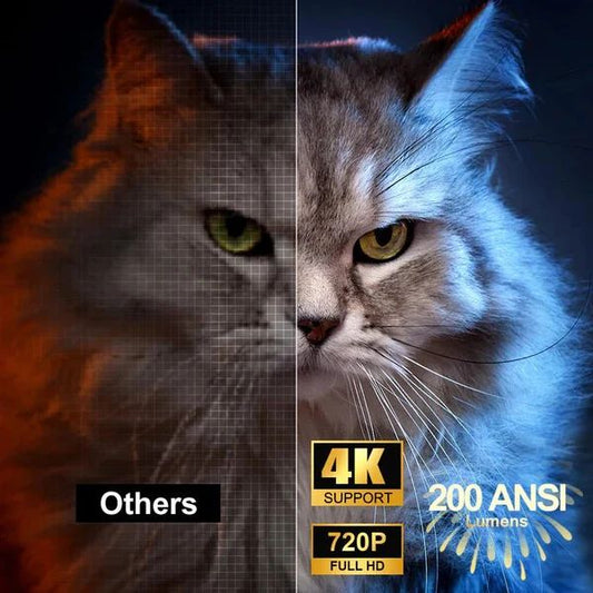 ๐๐ข๐ง๐ข ๐๐จ๐ฎ๐ง๐ ๐๐ซ๐จ๐ฃ๐๐๐ญ๐จ๐ซ